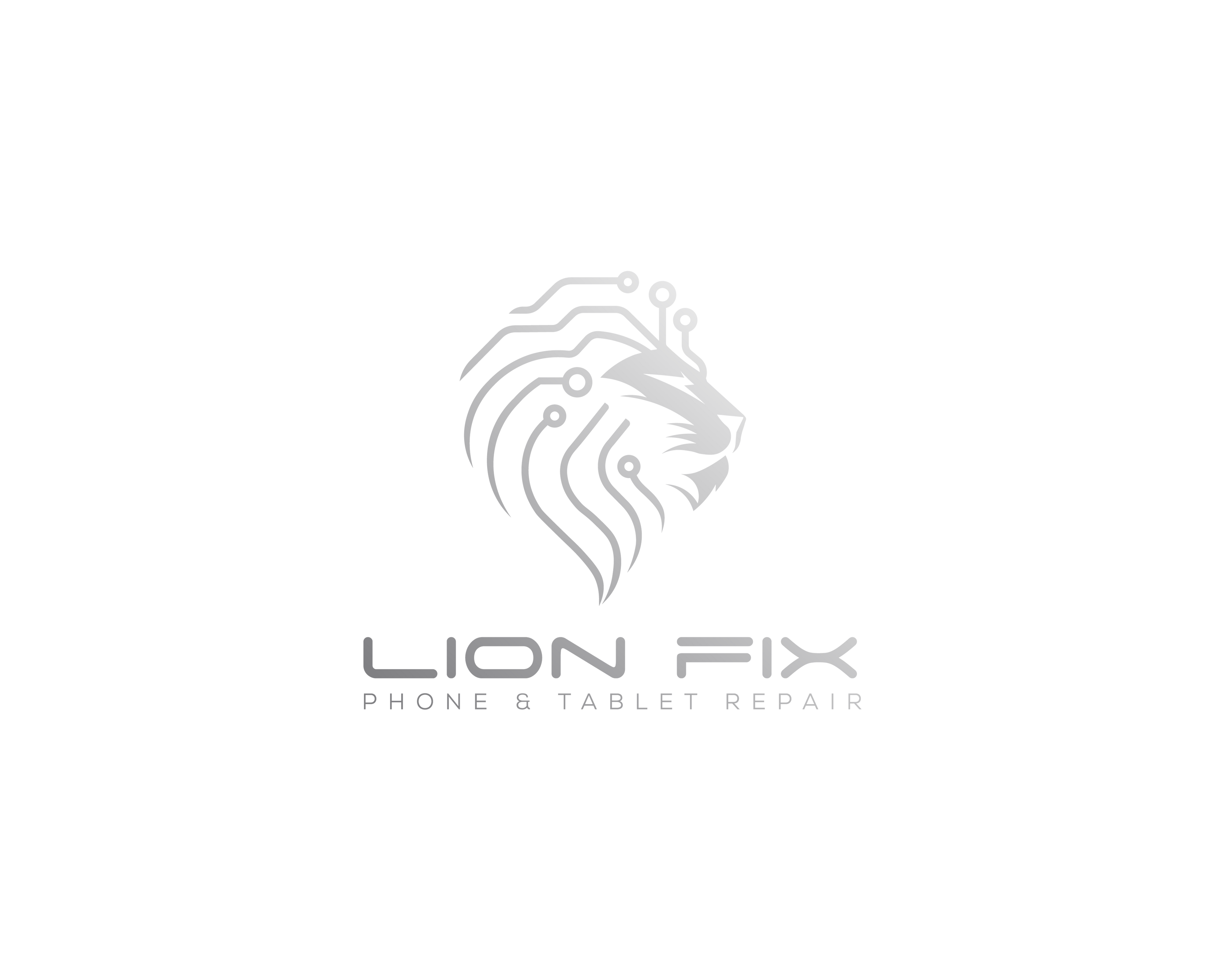 LION FIX OKC